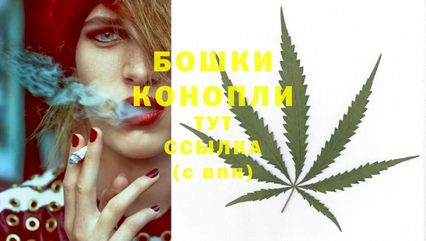 стафф Верея