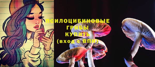 стафф Верея