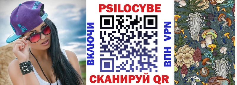 Псилоцибиновые грибы Cubensis  Череповец 